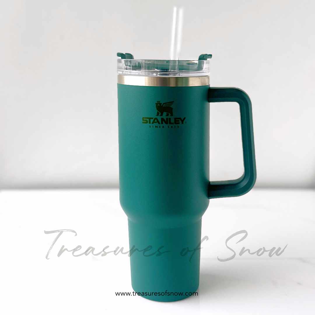 NEW - TIDEPOOL - Green!! Stanley Adventure Quencher Travel Tumbler Straw  Cup 40 oz