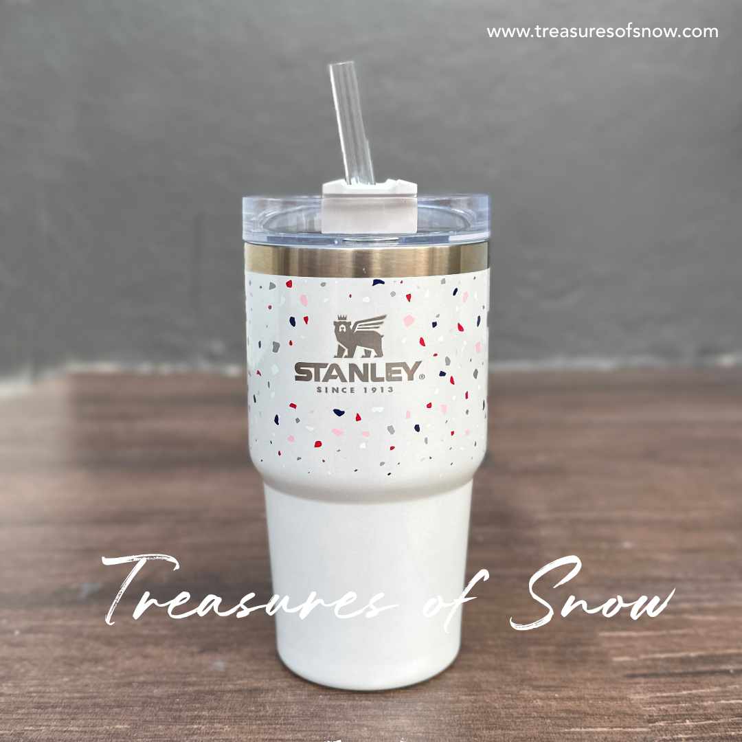Terrazzo Pearlescent Stanley Tumbler 20oz – Treasures of Snow