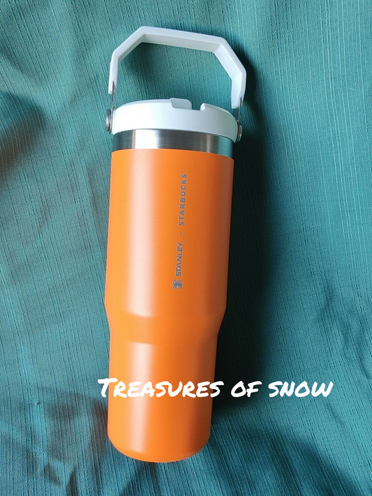 Stanley Adventure Quencher 40oz Tumbler - Deep Sea – Treasures of Snow