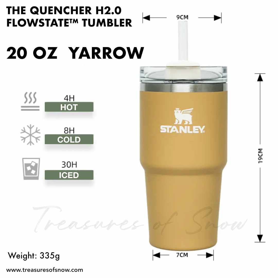 Stanley Adventure Quencher 20 oz Travel Tumbler H2.0